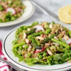 Lentil Salad with Asparagus and Radish