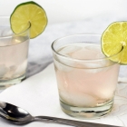 Rhubarb Lime Sparkling Cocktail