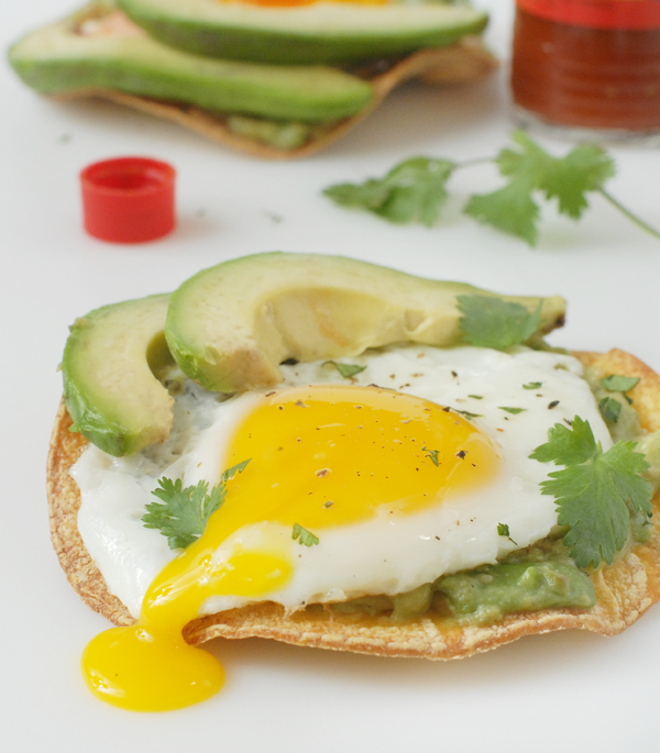 Avocado Breakfast Tostadas with Fried Eggs - Alison's Allspice